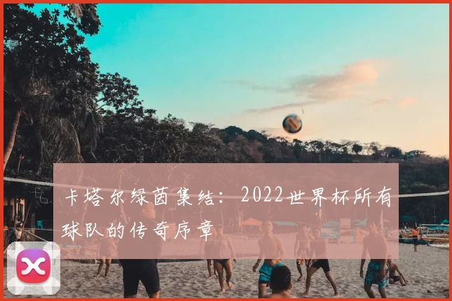 卡塔尔绿茵集结：2022世界杯所有球队的传奇序章