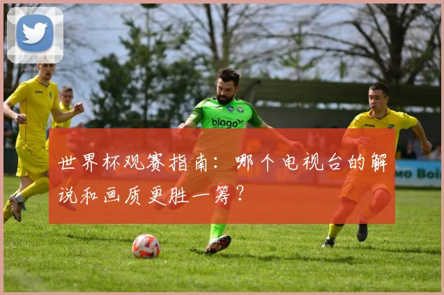 世界杯观赛指南:哪个电视台的解说和画质更胜一筹?
