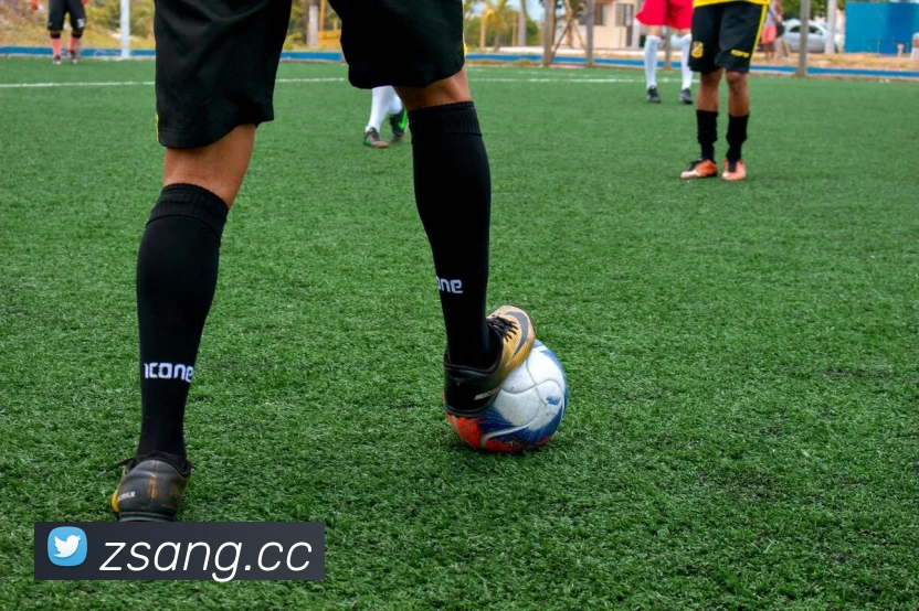 巅峰国际app注册官网品牌故事